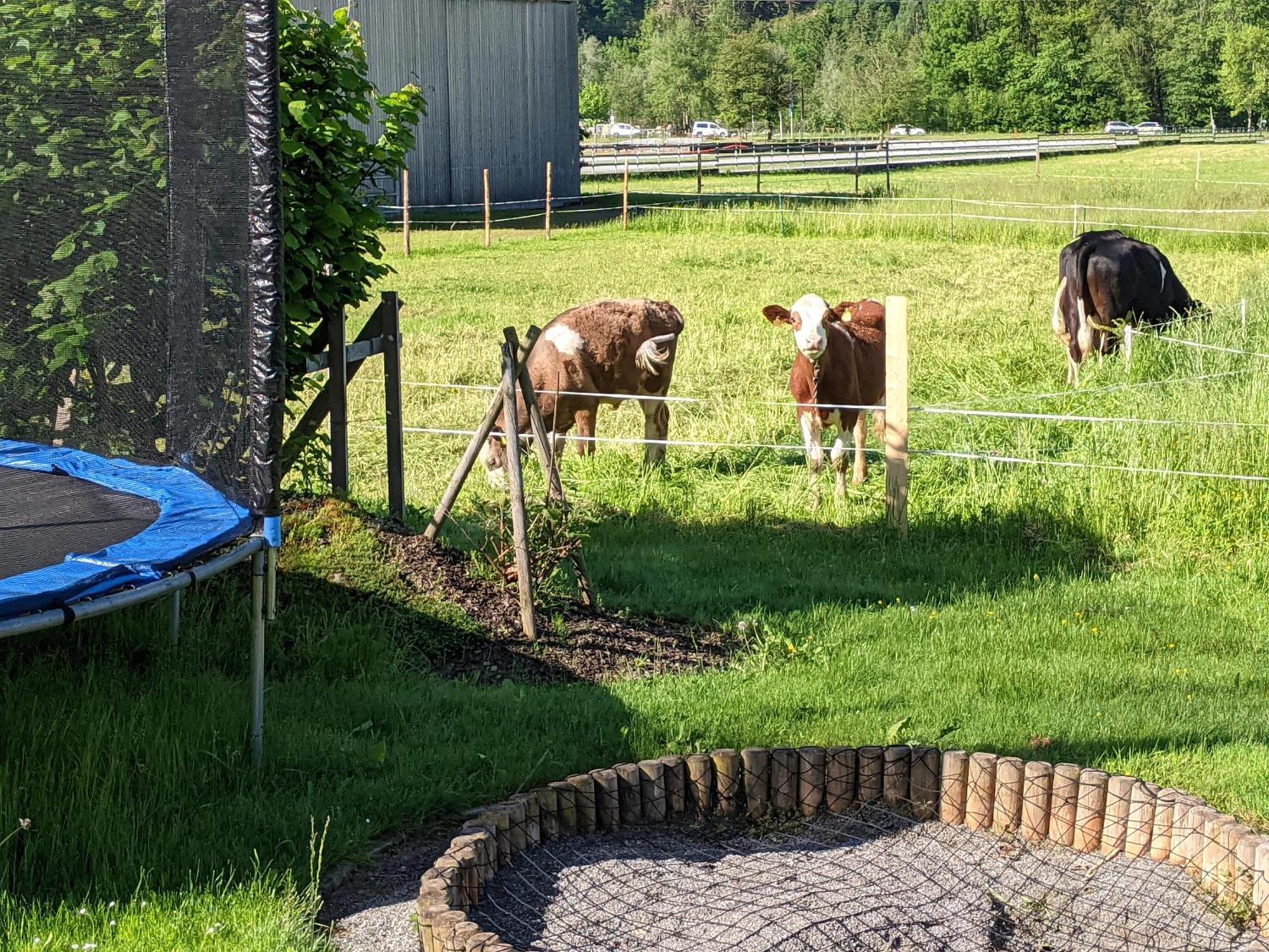 Ferienhaus Schwarzhans Schruns Exteriör bild